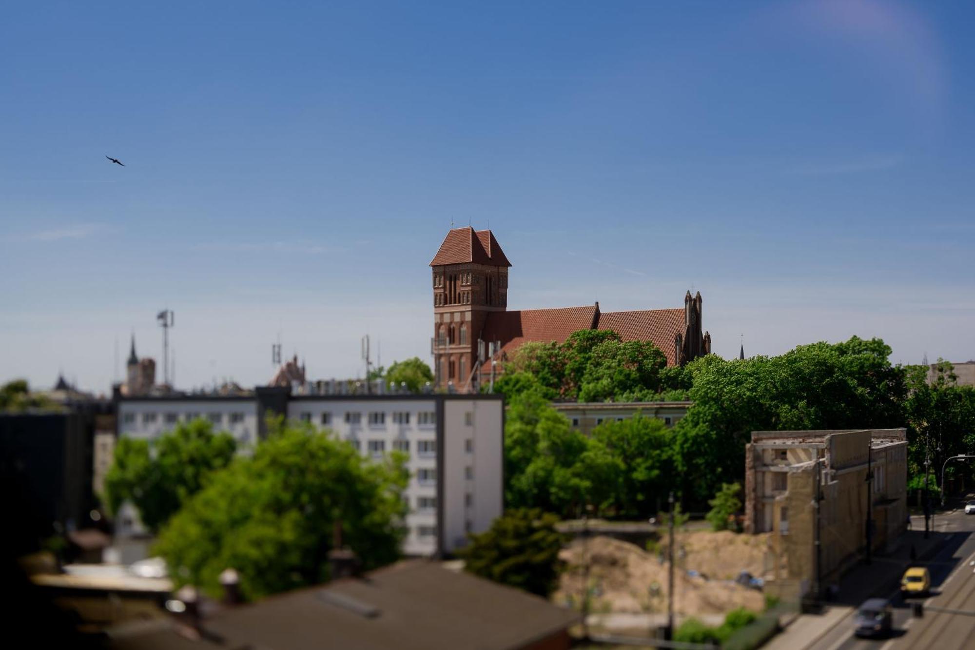 Symetria Apartment Torun